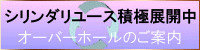 �V�����_�����[�X�i�I�[�o�[�z�[���j�̂��ē�